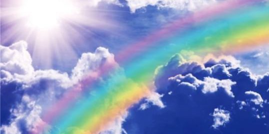 osvobozhdenie-ucheba