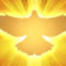 Holy-Spirit-