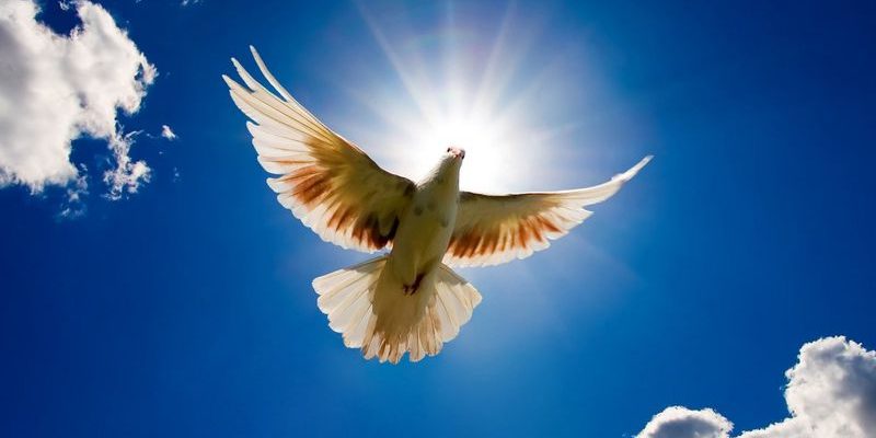 Kak-byt-ispolnennym-Duha-Svjatogo