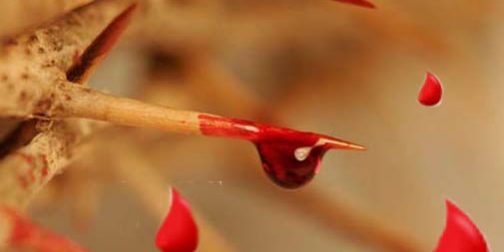 krov-hrista-i-duhovnaya-vlast krov-hrista-i-duhovnaya-vlast